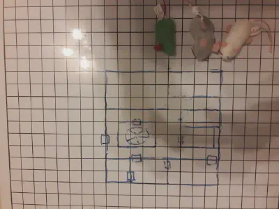 Session Map